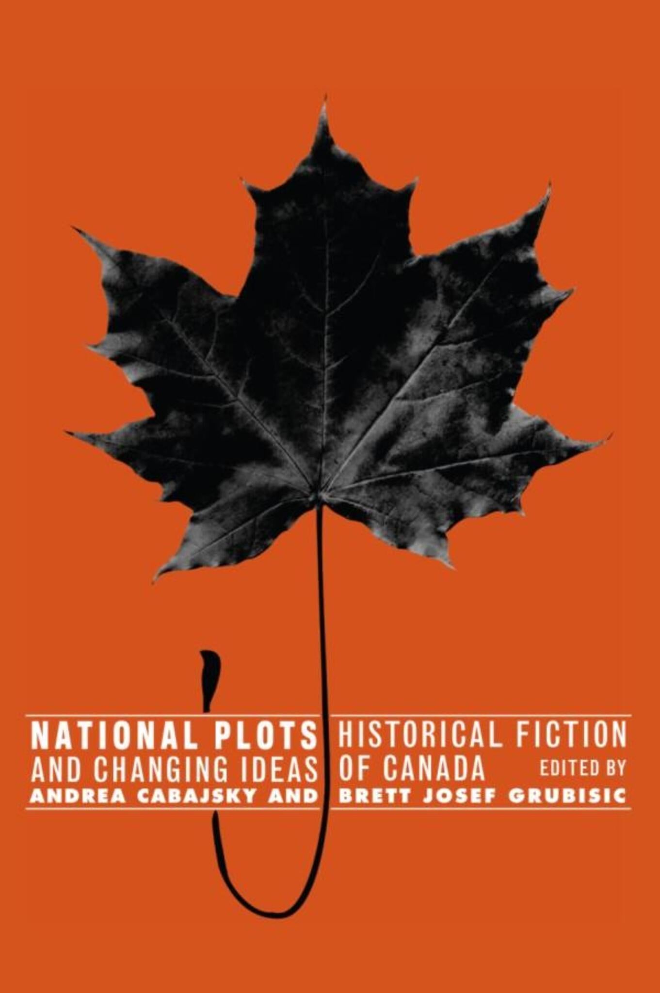 Cover image for National Plots ISBN 9781554580613